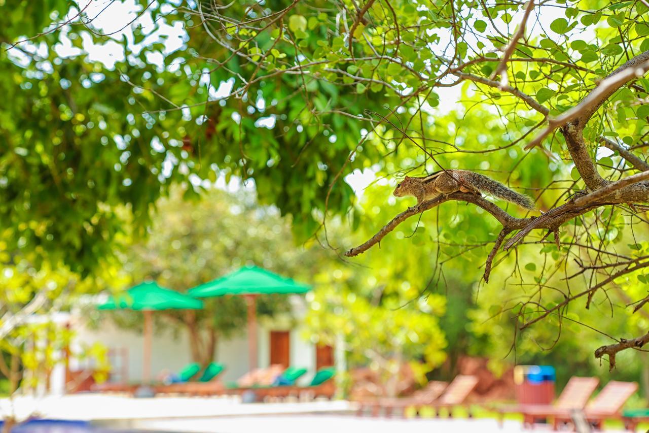Oak Ray Elephant Lake Sigiriya Exterior photo